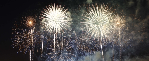 fireworks2014490ai