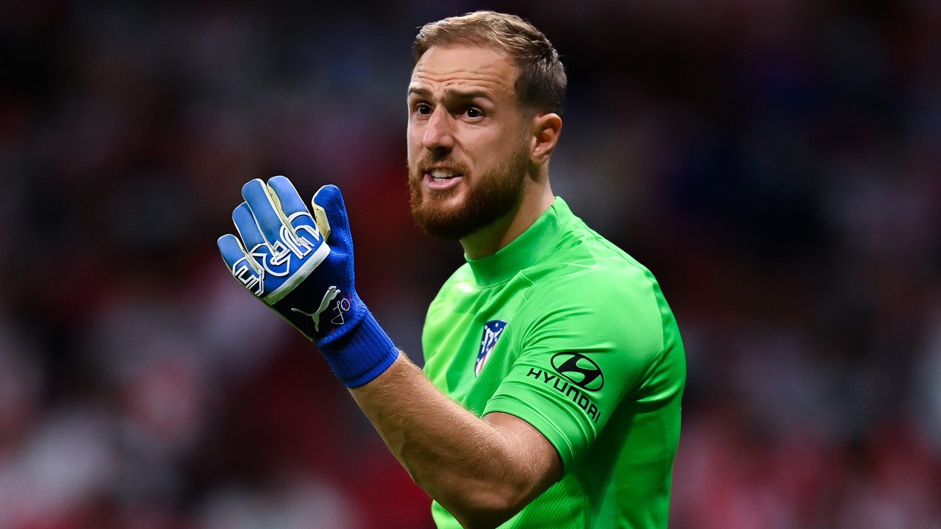 Tottenham to compete with Premier League rival for Atletico Madrid's Jan  Oblak - Football España