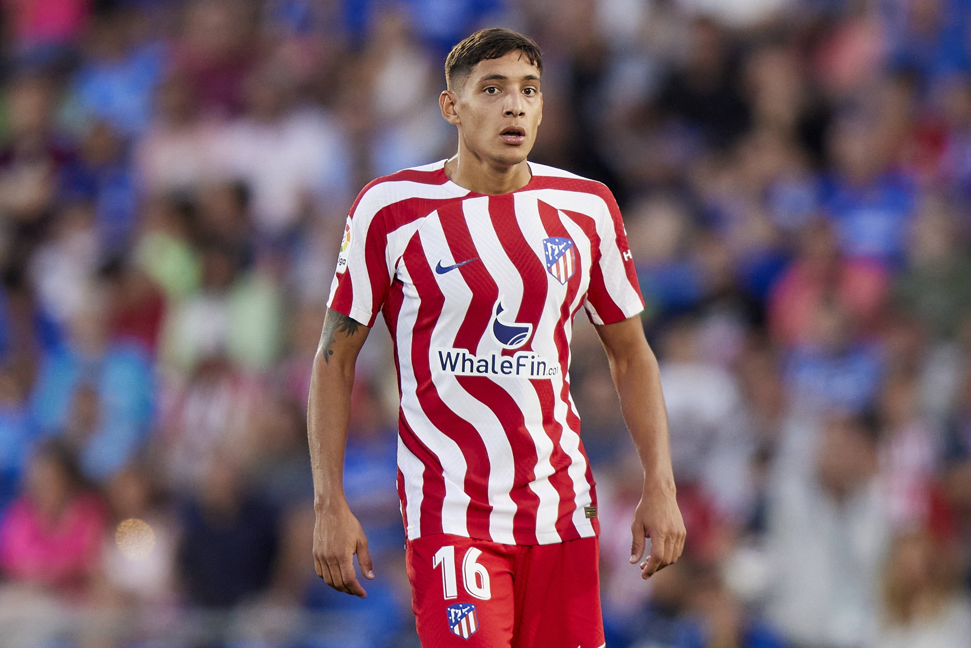 Nahuel Molina sets record in first season at Atletico Madrid - Football España