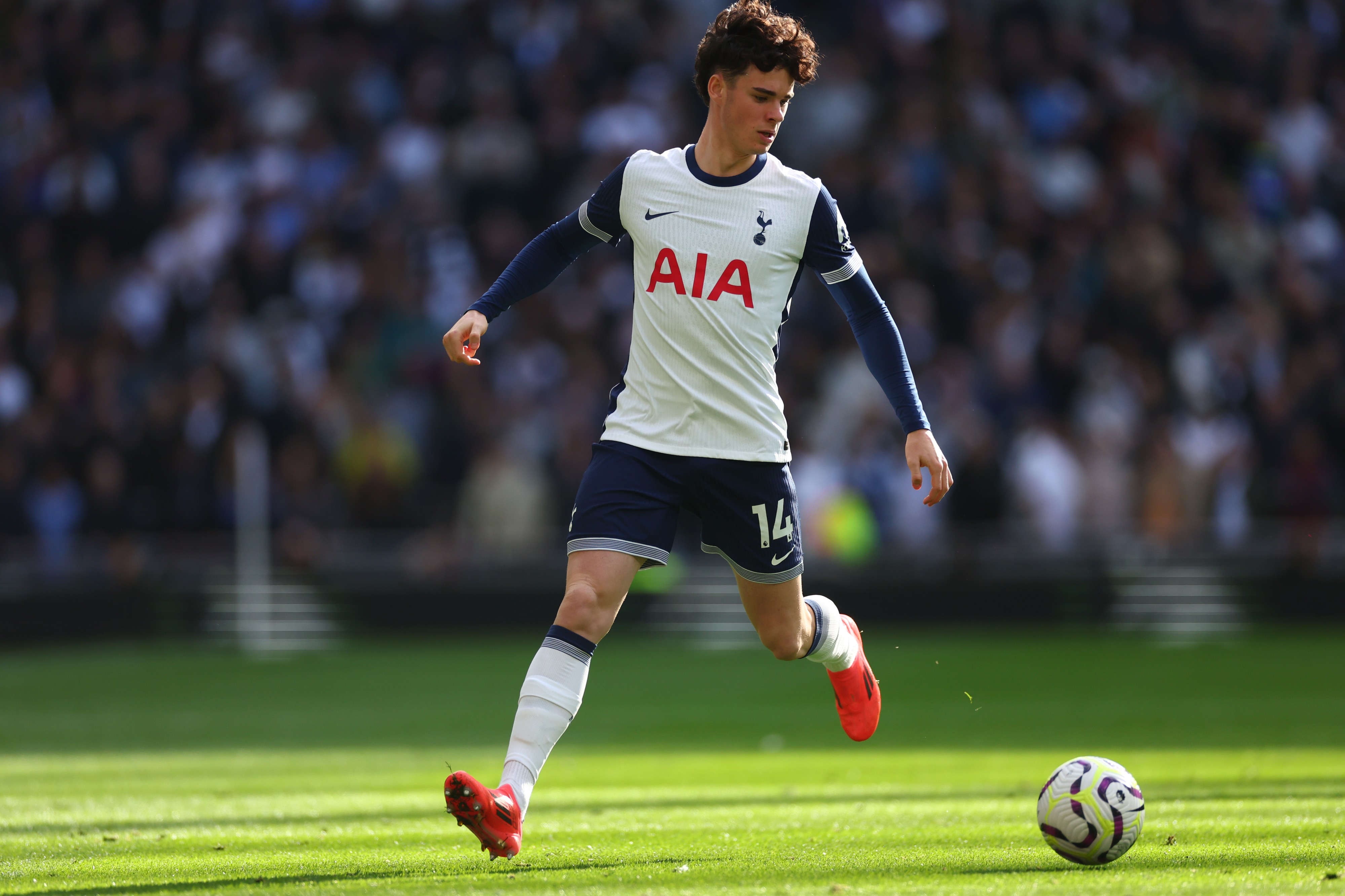 Sevilla interested in Tottenham Hotspur talent for January move