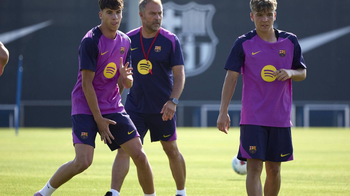 Torrents could be in line for more action soon.